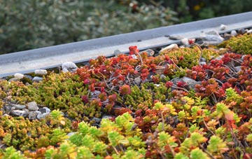 the cost of Ystrad Aeron green roof installation