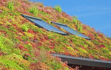 Ystrad Aeron living roof systems